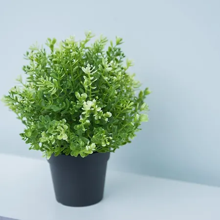 Krakowska Comfort By Bookinghost Апартаменты