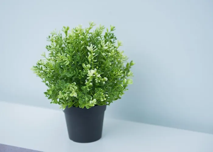 Krakowska Comfort By Bookinghost شقة